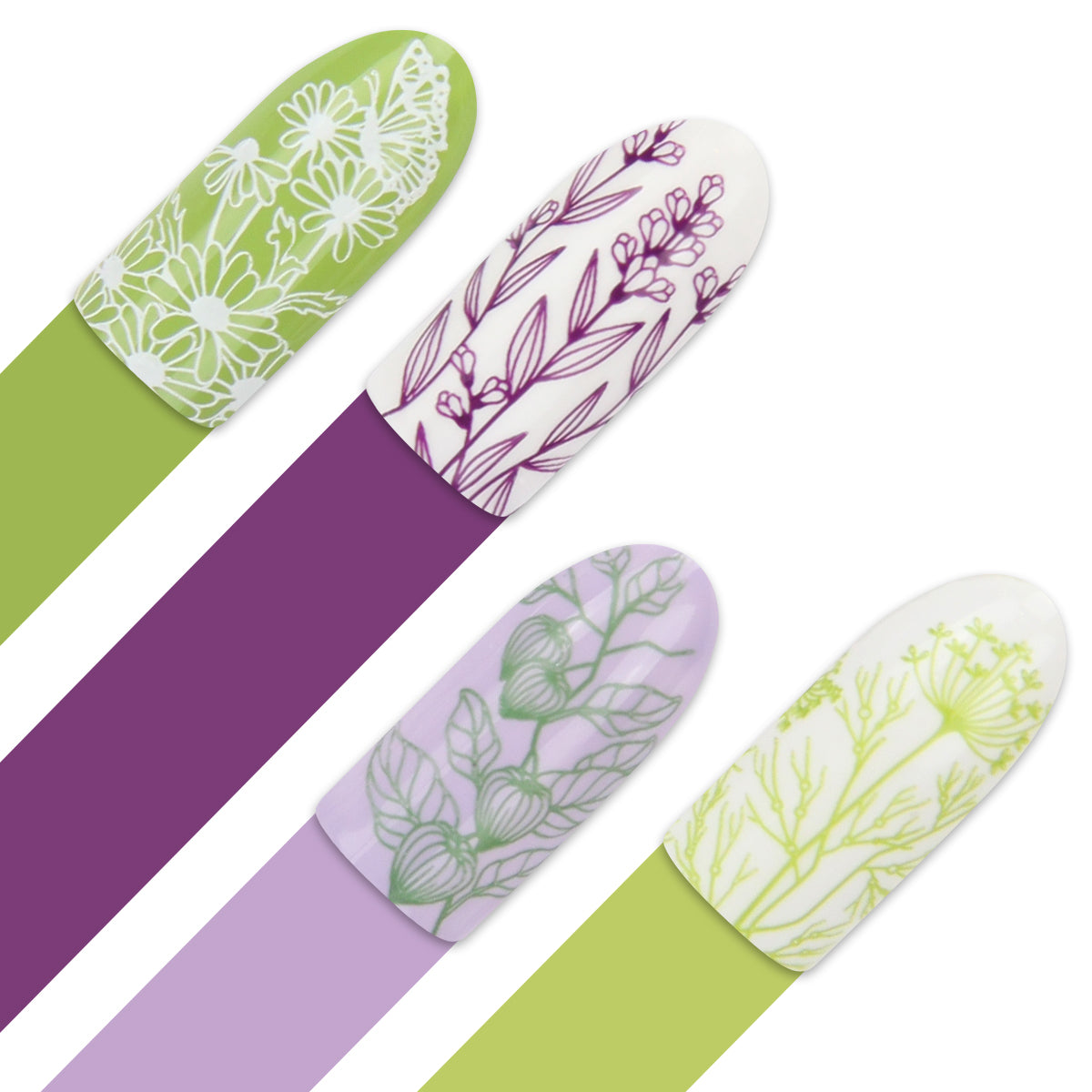 Moyra Stamping Plate - 91 - Spicery